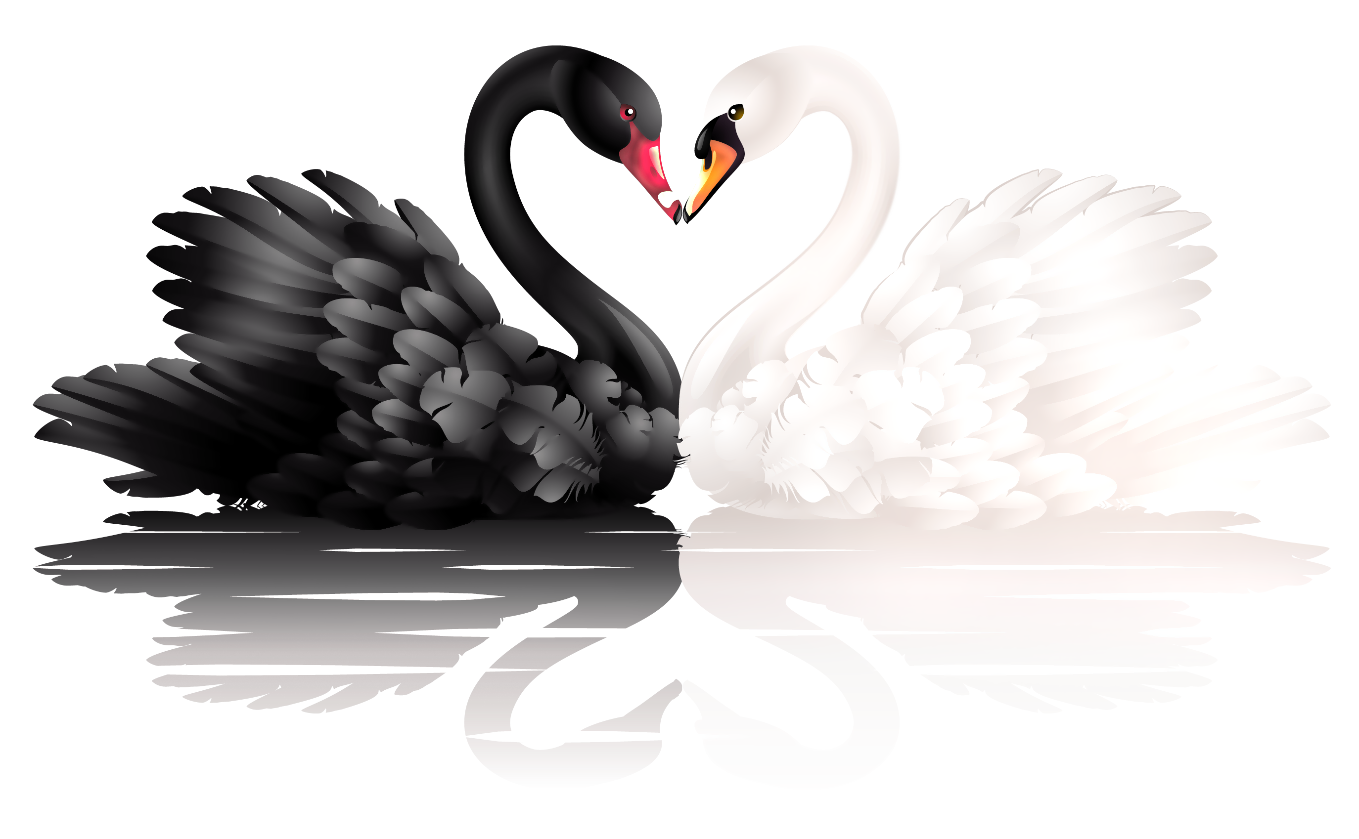 Bia Swan