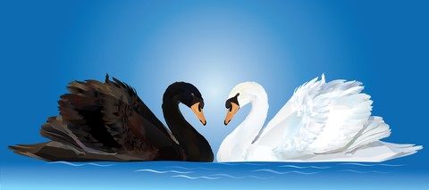 Bia Swan